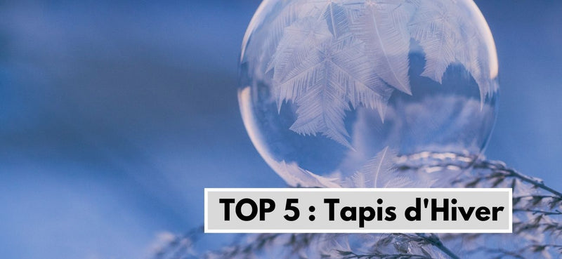 Top 5 des tapis pour l'hiver