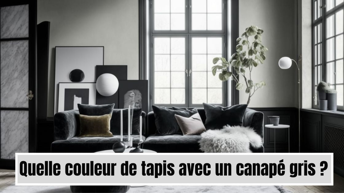 couleur tapis avec canapé gris