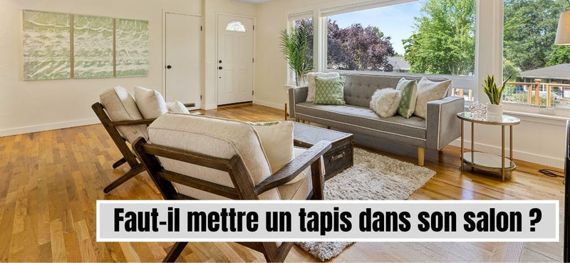 Faut-il mettre un tapis dans son salon ?