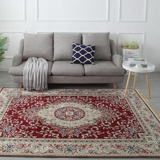 Tapis Persan Salon Moderne
